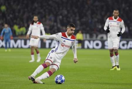 因其丰富的 因其丰富的